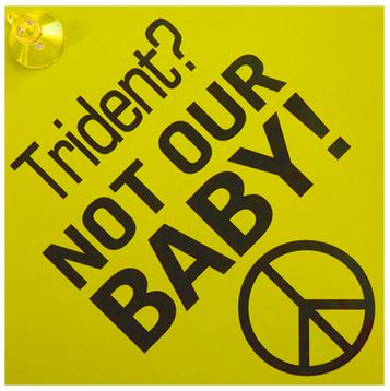Trident? Not Our Baby! Window Hanger